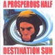 A Prosperous Half - Destination Sun